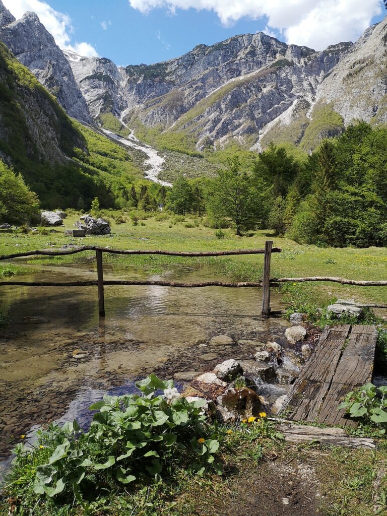 Ecosistemi montani di alta quota. Gli inquinanti riducono la biodiversità.